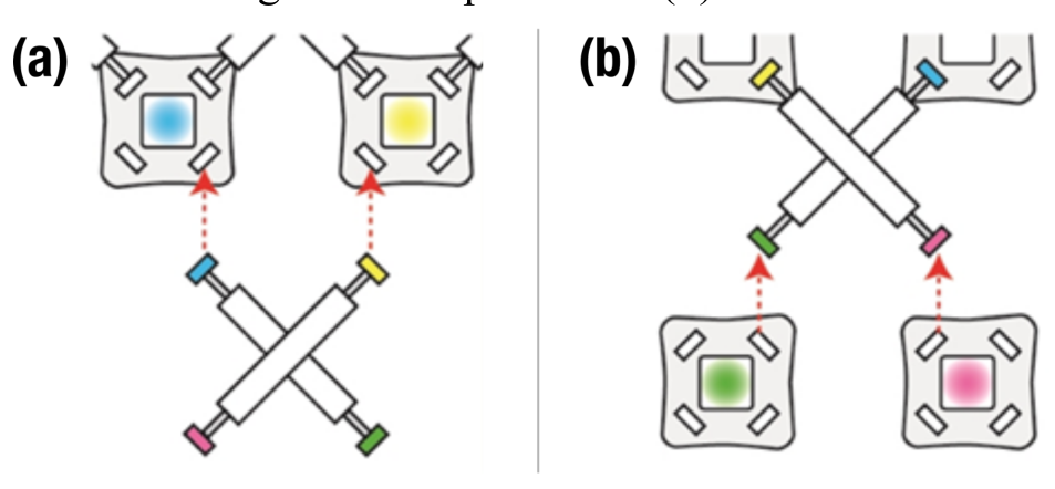 Figure 10. (a) Connector nodes on the structure pulse in colors that indicate the location and orientation to attach a part. (b) The worker’s connector nodes pulse in colors that indicate the end caps