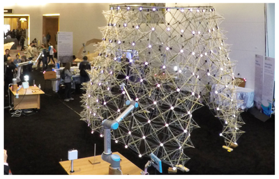 Figure 11. The completed pavilion on Day 3.