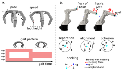Figure 6: (a) The quadruped’s motion is parameterized using joint poses, walking speed, foot height, gait time, and gait pattern (shown in red). (b) The arm is driven by a Boids flocking simulation. T