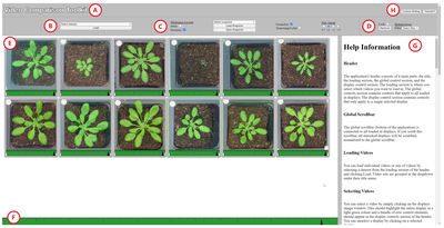 Figure 1: Web-based demonstration application. (A) Title (B) Video selection dropdown (C) Global system options (D)Individual video options (E) Workspace with 12 plant videos (F) Global timeline widge
