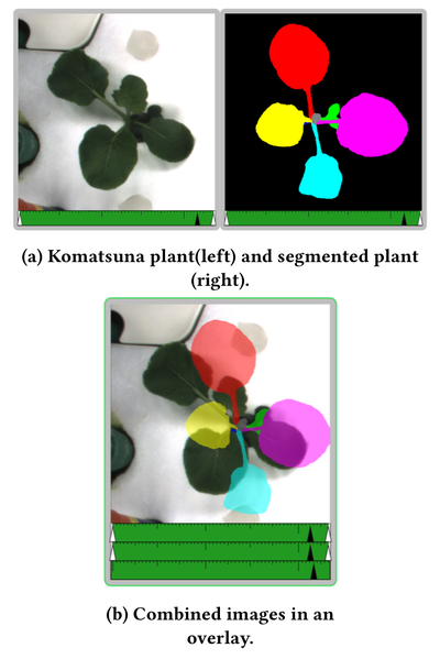 Figure 10: Overlay with image filters, showing one RGB plant image and one segmented image. Image source.