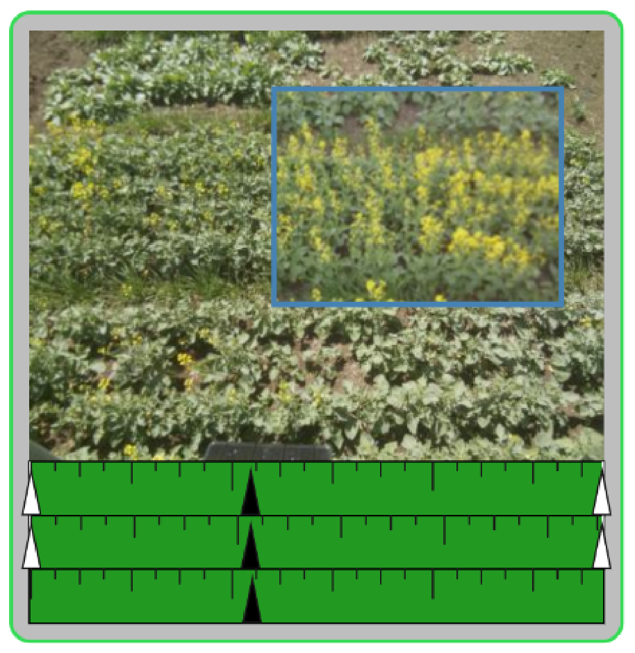 Figure 9: See-through lens showing a specific region in theunderlying video at full opacity.