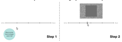 Figure 4. The two steps of a single trial.